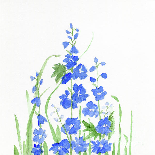 Blue Larkspur by Laurie Rohner Blue Larkspur by Laurie Rohner