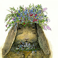 Crowned Bunny