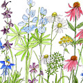 Wildflowers with Bee